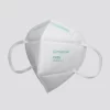 KN 95 Mask